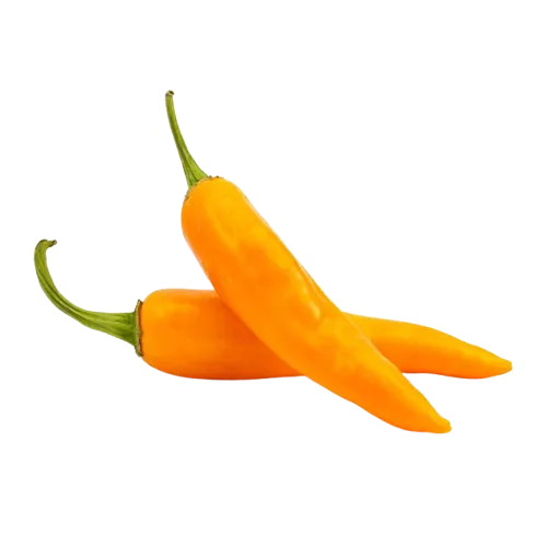 AJI AMARILLO